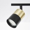 Brilliant Maribel Spotlights brass, black, 2-light sources