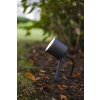 Lutec Explorer Garden Spotlight LED anthracite, 1-light source