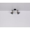 Globo KLERENA SpotLight black, 2-light sources
