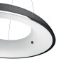 Philips HUE AMBIANCE WHITE AMAZE Pendant Light LED black, 1-light source, Remote control