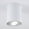 Quimper Ceiling Light white, 1-light source
