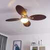NICOSIA ceiling fan Dark wood, matt nickel, 1-light source