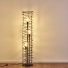 Floor Lamp Woerden black, 3-light sources