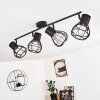 GAINESVILLE Ceiling Light black, 4-light sources