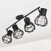 GAINESVILLE Ceiling Light black, 4-light sources
