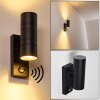 FROSLEV Outdoor Wall Light LED black, 2-light sources, Motion sensor
