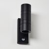 FROSLEV Outdoor Wall Light LED black, 2-light sources, Motion sensor