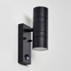 FROSLEV Outdoor Wall Light LED black, 2-light sources, Motion sensor