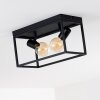 Ryssby Ceiling Light black, 2-light sources