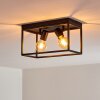 Ryssby Ceiling Light black, 2-light sources