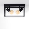 Ryssby Ceiling Light black, 2-light sources