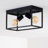Ryssby Ceiling Light black, 2-light sources