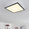 SALMI Ceiling Light LED black, white, 1-light source