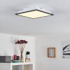 SALMI Ceiling Light LED black, white, 1-light source