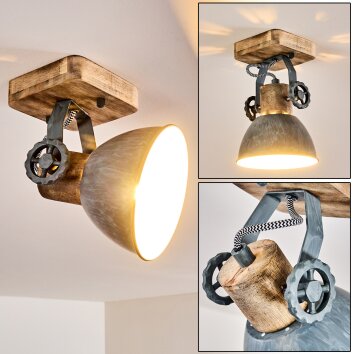 Orny Ceiling Light grey, 1-light source