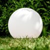 Globe light Arslev white, 1-light source