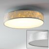 Victoria ceiling light LED white, 1-light source