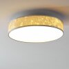 Victoria ceiling light LED white, 1-light source