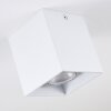 Awuna Ceiling Light white, 1-light source