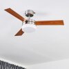 VEVEY ceiling fan Light wood, matt nickel, silver, 2-light sources, Remote control