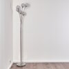 Paul Neuhaus WOMBLE floor lamp stainless steel, 6-light sources