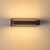 Outdoor Wall Light Hjortspring LED anthracite, 1-light source