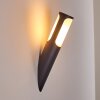 Nalmaibrück Outdoor Wall Light anthracite, 1-light source