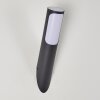 Nalmaibrück Outdoor Wall Light anthracite, 1-light source