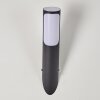 Nalmaibrück Outdoor Wall Light anthracite, 1-light source