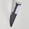 Nalmaibrück Outdoor Wall Light anthracite, 1-light source