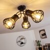 GAINESVILLE Ceiling Light black, 3-light sources