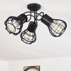 GAINESVILLE Ceiling Light black, 3-light sources