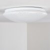 NORTON STAR Ceiling light LED white, 1-light source