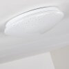NORTON STAR Ceiling light LED white, 1-light source