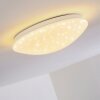 NORTON STAR Ceiling light LED white, 1-light source