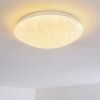 NORTON STAR Ceiling light LED white, 1-light source