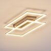 VEYRIER Ceiling light LED brushed steel, 2-light sources