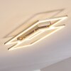 VEYRIER Ceiling light LED brushed steel, 2-light sources