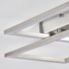 VEYRIER Ceiling light LED brushed steel, 2-light sources