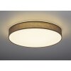 Trio LUGANO Ceiling light LED grey, 1-light source, Remote control
