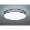 Trio LUGANO Ceiling light LED grey, 1-light source, Remote control