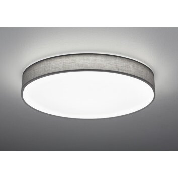Trio LUGANO Ceiling light LED grey, 1-light source, Remote control