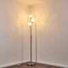 Bernado Floor Lamp matt nickel, 3-light sources