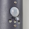 Nalmaibrück Outdoor Wall Light anthracite, 1-light source, Motion sensor
