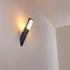 Nalmaibrück Outdoor Wall Light anthracite, 1-light source, Motion sensor
