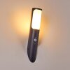 Nalmaibrück Outdoor Wall Light anthracite, 1-light source, Motion sensor