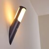 Nalmaibrück Outdoor Wall Light anthracite, 1-light source, Motion sensor