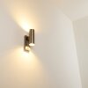 BRACHY Outdoor Wall Light stainless steel, 2-light sources, Motion sensor
