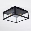 MOATIZE Ceiling Light black, 2-light sources
