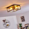 MOATIZE Ceiling Light black, 2-light sources